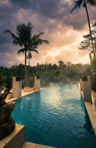 Infinity Pool Jungle View